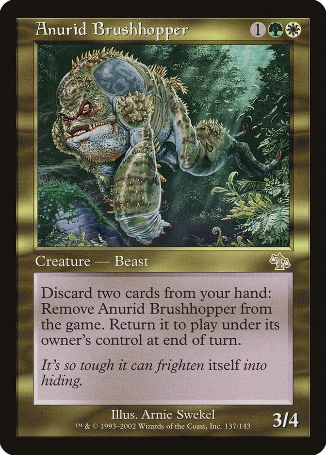 Anurid Brushhopper [JUD - 137]